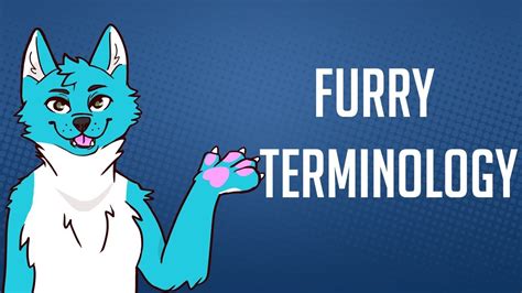 what does the word furry mean
